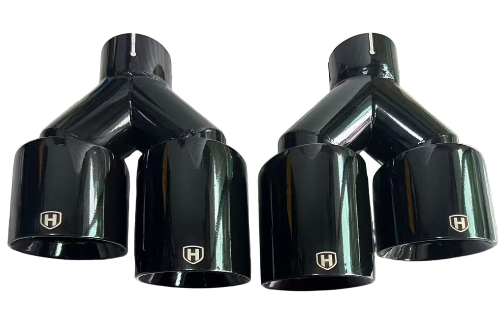 BMW G05 X5 50e CATBACK RVS